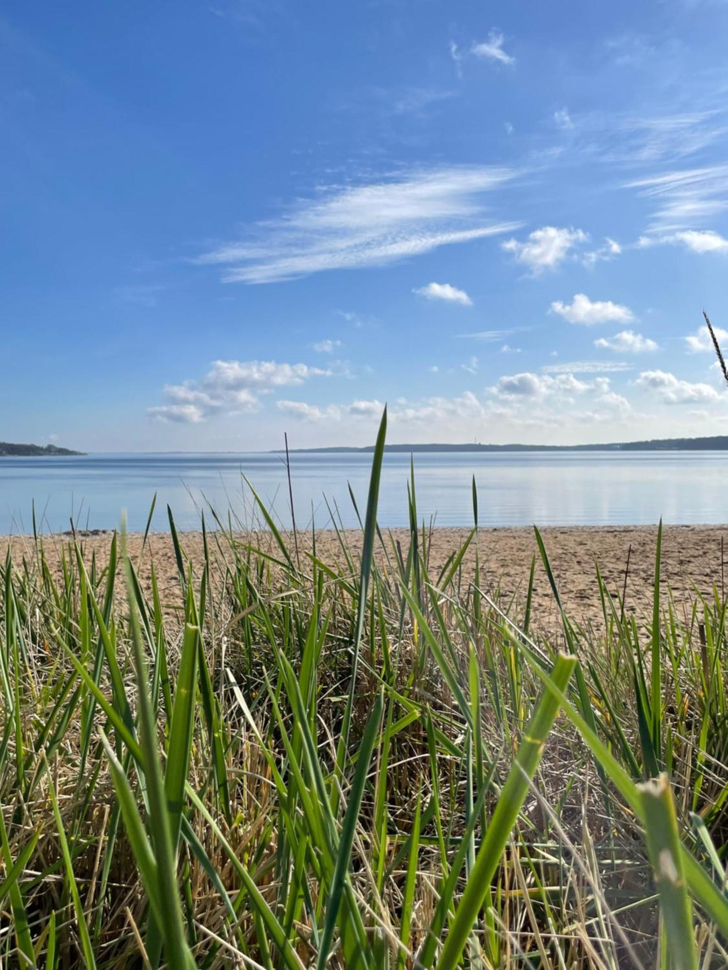 Strandliebe - Fewo Mit Meerblick Harrislee Exterior photo
